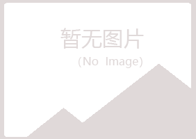 白银平川迷茫零售有限公司